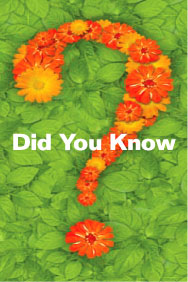 Did You Know?